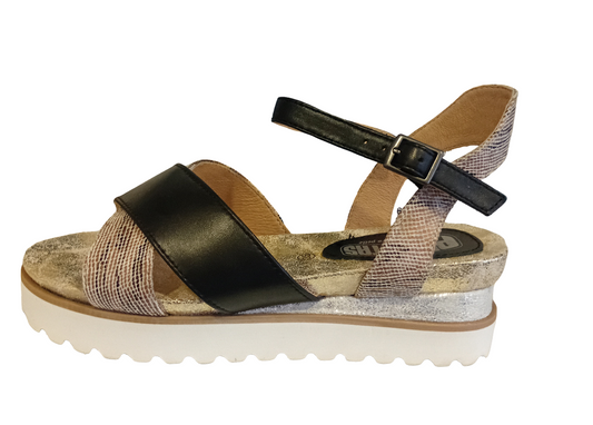 Plantas Sandalo Incrocio Multicolore