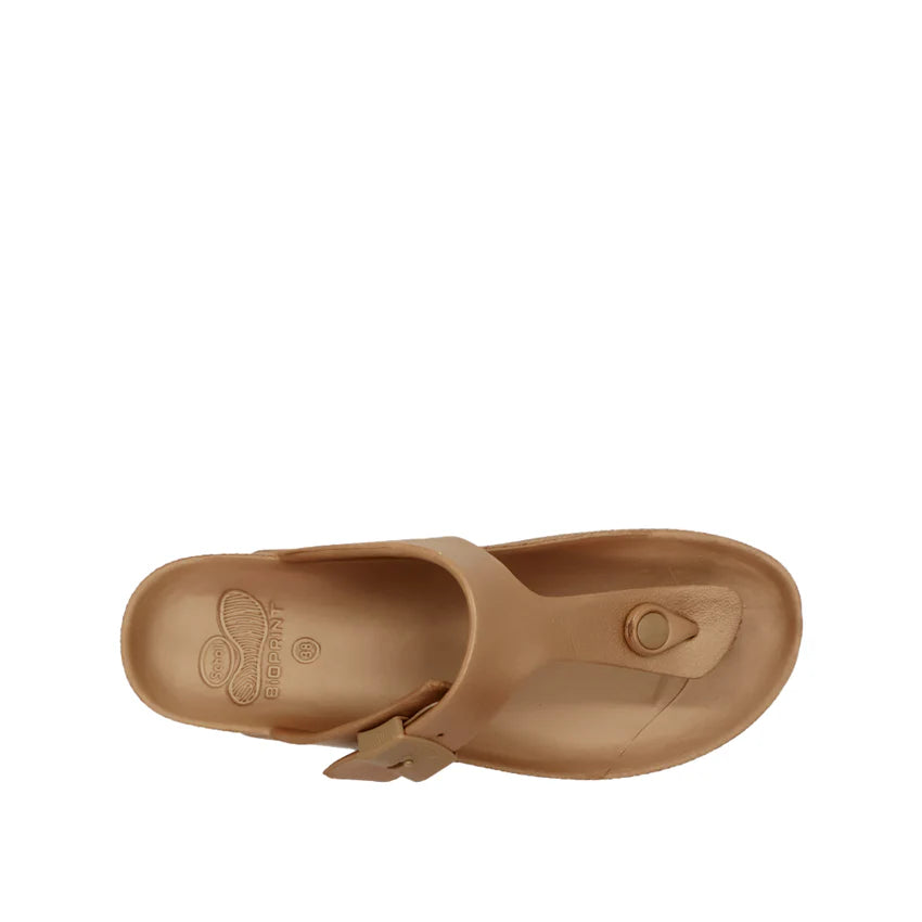 Scholl Bahia Flip Flop Eva Infradito Copper