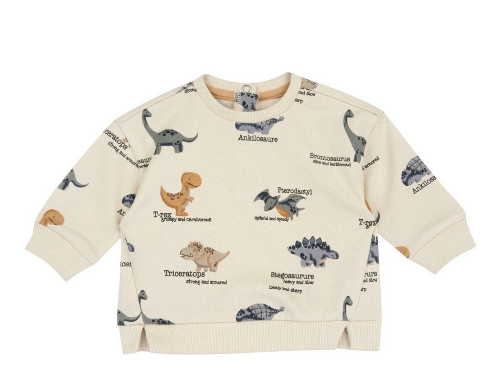 Chicco Felpa Bambino con Dinosauri in Cotone Morbido con Bottoni