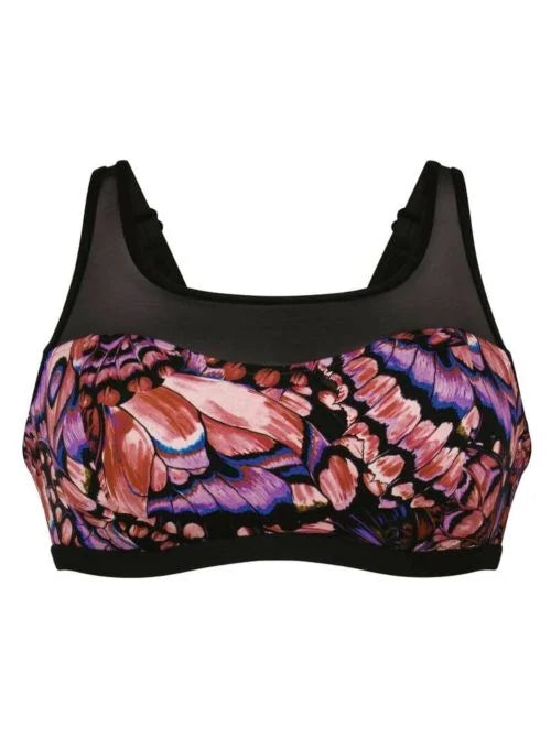 Anita Bikini Toliera Rosewood