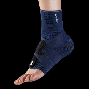 Gibaud cavigliera legamenti malleogib