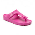 Scholl Bahia Flip Flop Eva Infradito Fucsia