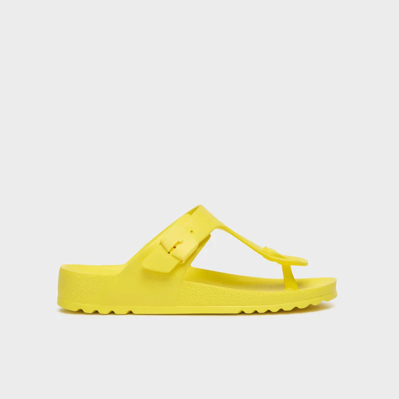 Scholl Bahia Flip Flop Eva Infradito Giallo