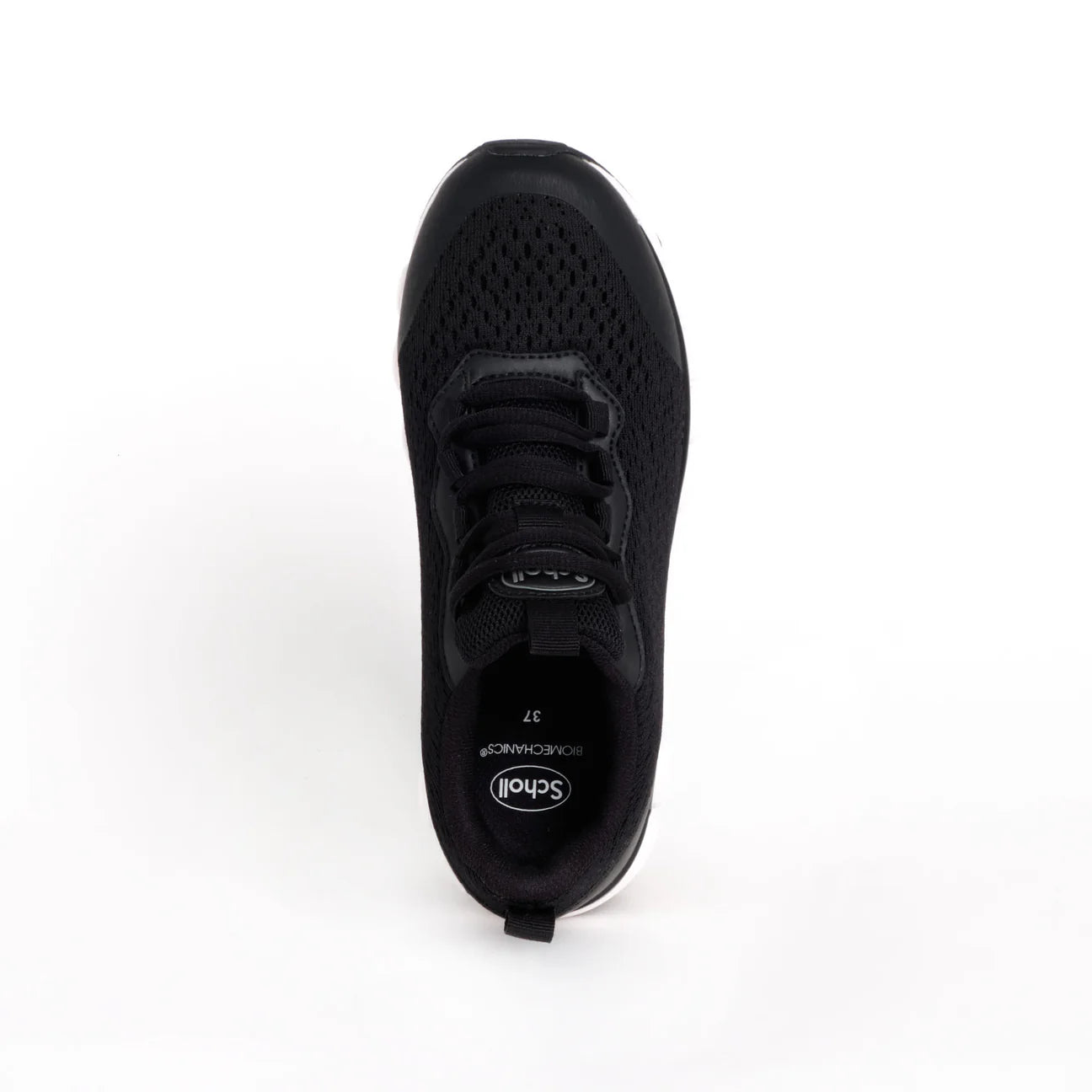 Scholl Scarpa Galaxy Jacquard Sneakers Nero