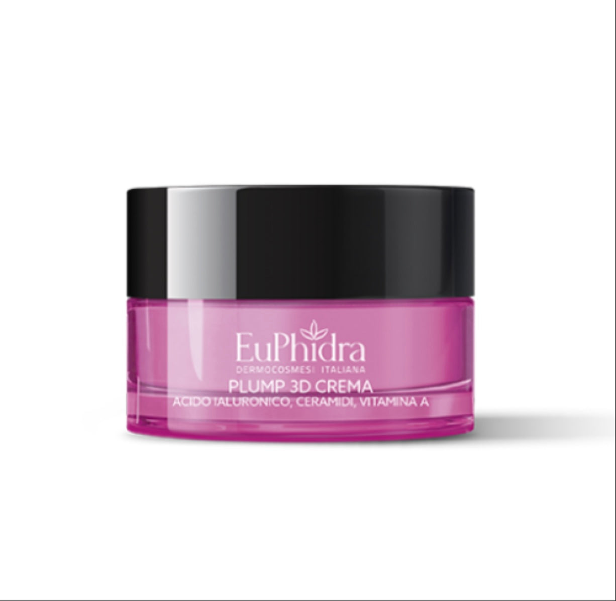 Euphidra crema Plump 3D