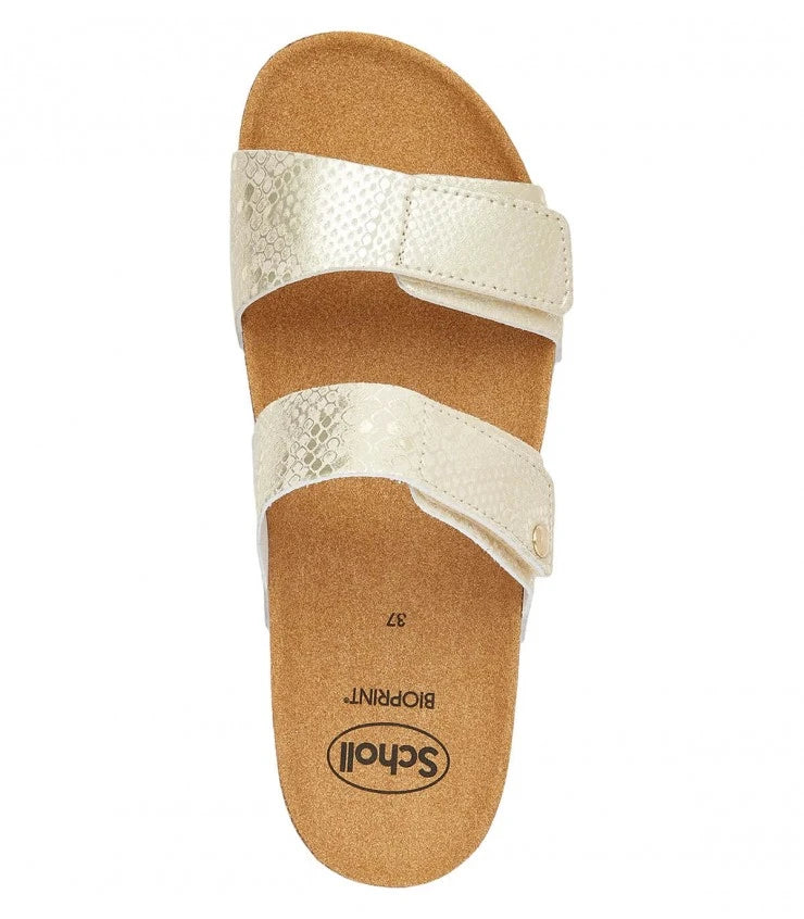 Scholl Lusaka 2.0 platino tecnologia Bioprint