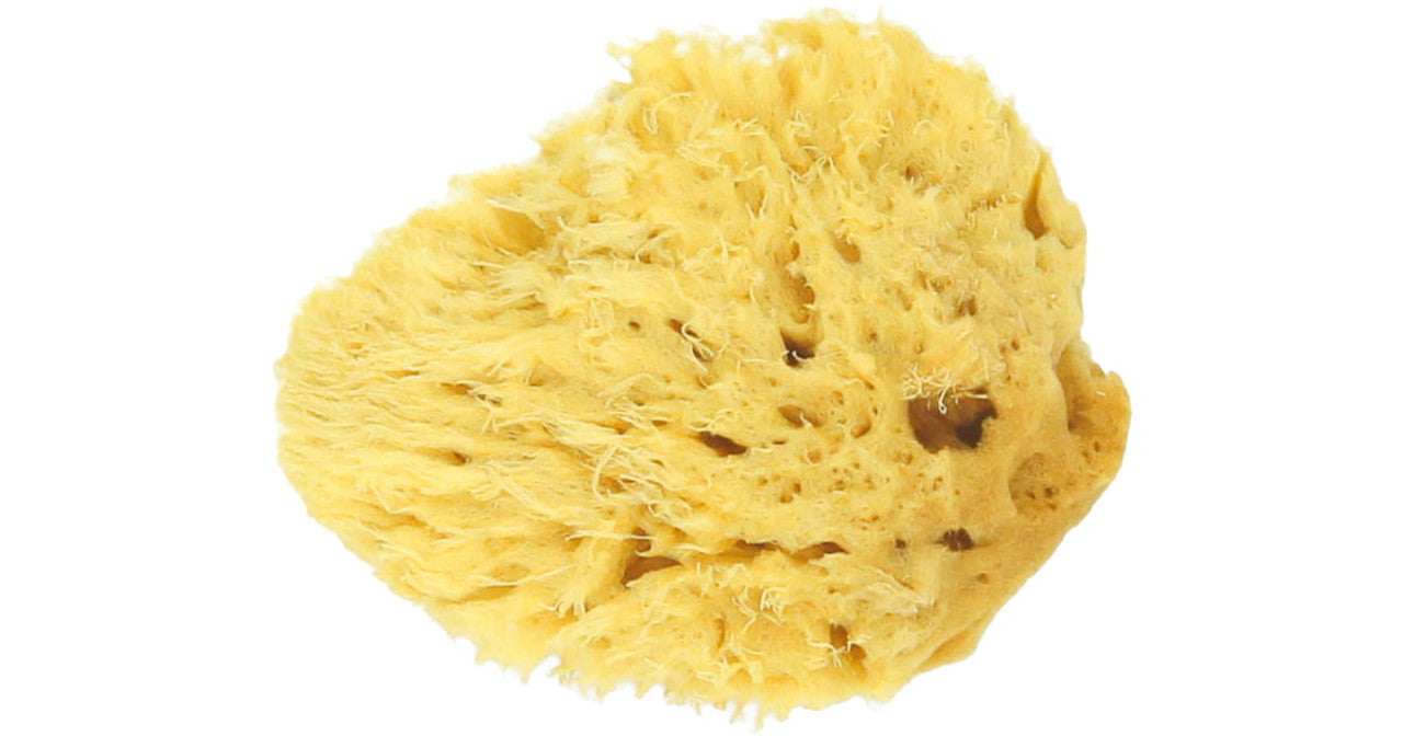 Spugna Naturale Ecologica 12 cm