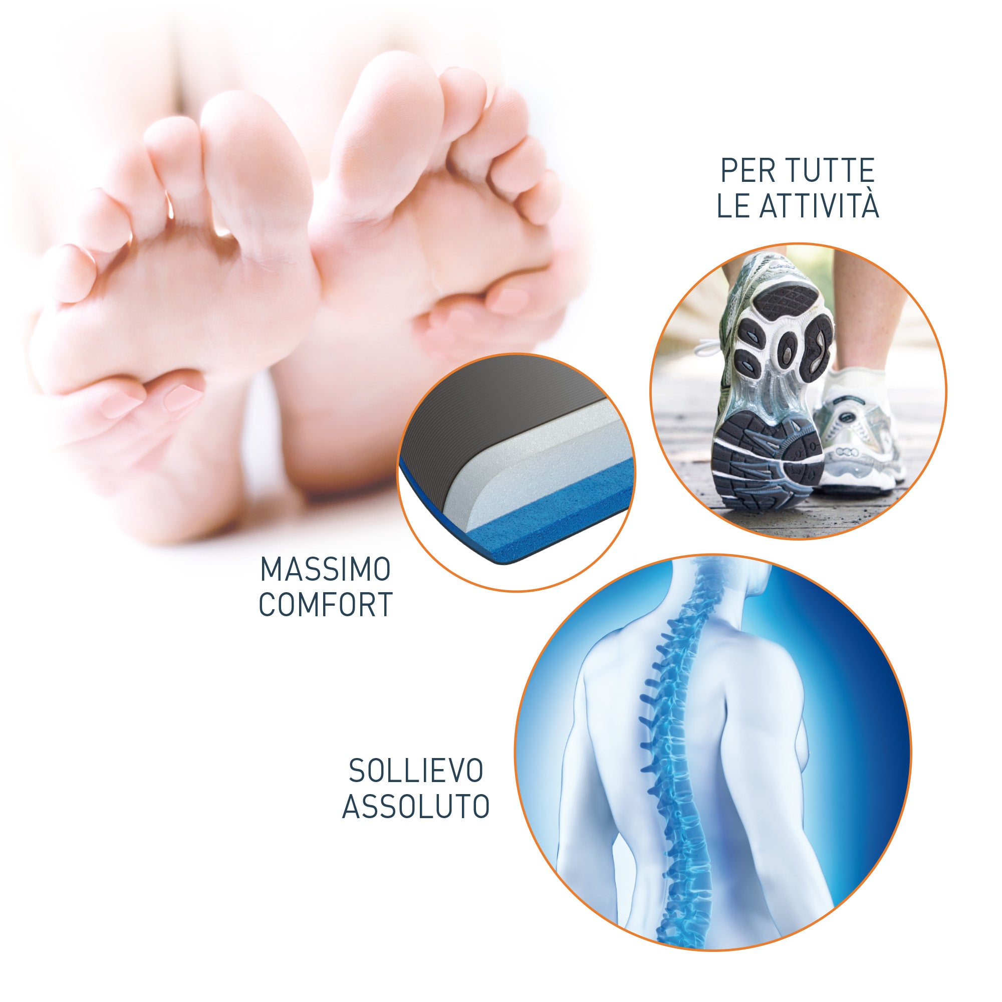 Tecniwork Active Memory Plantare