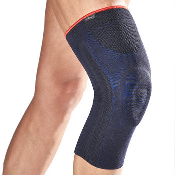 Gibaud ginocchiera legamenti 3D