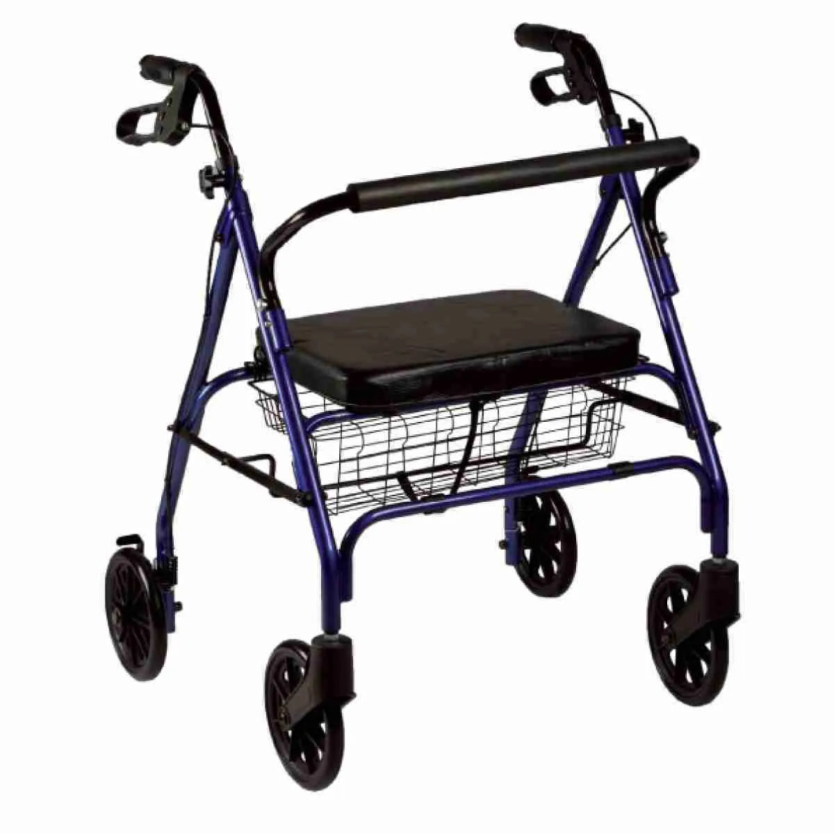 Rollator Pieghevole Bariatrico Acciaio Rinforzato Sedile Imbottito Termigea