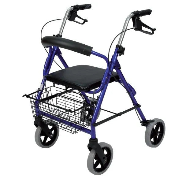Rollator Pieghevole Metallizzato Termigea 4 Ruote