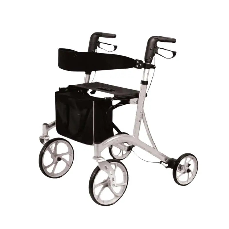 Rollator Pieghevole Termigea RO25