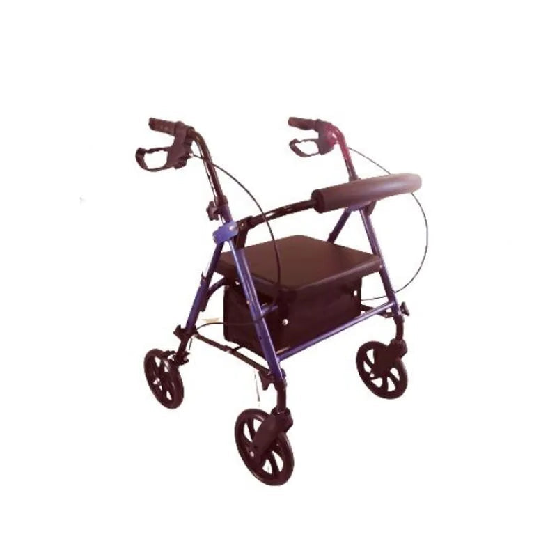 Rollator Pieghevole Termigea 4 Ruote